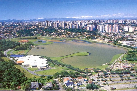 Những điệu samba của bóng đá sẽ tỏa sáng ở Curitiba "xanh"