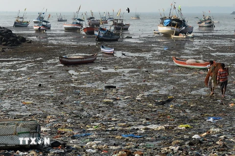 Thêm cảnh báo về rác thải chất dẻo trên các đại dương 