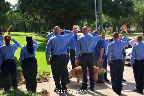 Nhiều lính cứu hỏa đã xếp hàng chào vĩnh biệt trước khi nó được trao cho một cái chết êm ái (Nguồn: CCTV)
