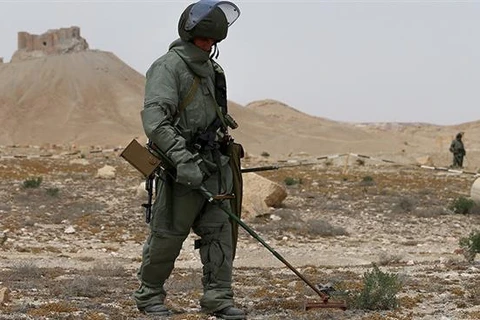 Lính Nga tham gia dò mìn tại thành phố cổ Palmyra. (Nguồn: PressTV) 