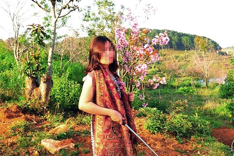 Hành động chụp ảnh với một cành hoa Mai Anh Đào của bà Phạm Thị Minh Hiếu đã gây bức xúc dư luận.