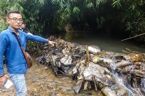 Toàn cảnh vụ đổ trộm dầu thải xuống đầu nguồn nước sạch Sông Đà