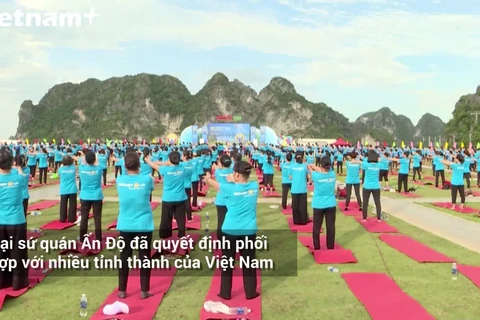 Hàng ngàn người đồng diễn tại Vịnh Hạ Long nhân Ngày Quốc tế Yoga