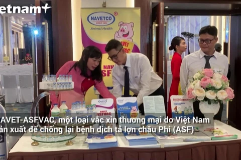 Việt Nam sản xuất thành công vaccine dịch tả lợn Châu Phi