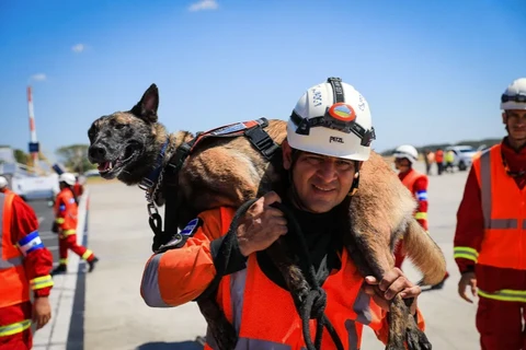 Chó nghiệp vụ, vũ khí đặc biệt trong cuộc tìm kiếm nạn nhân động đất