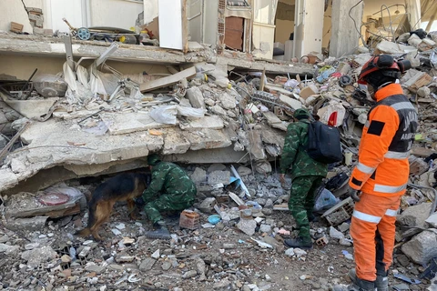 Cứu hộ Việt Nam trợ giúp đội Bahrain tìm nạn nhân động đất