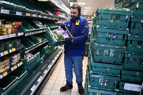 Vì đâu các siêu thị lớn nhất Anh lâm vào cảnh thiếu thực phẩm tươi?