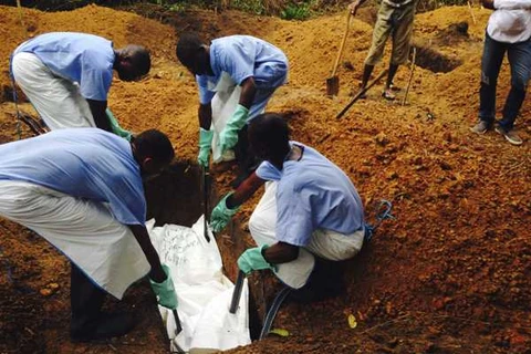 Tốc độ lây lan của dịch Ebola ở Tây Phi tăng gần gấp đôi