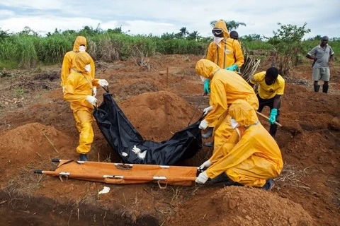 Lầu Năm Góc thành lập đội phản ứng nhanh đối phó với dịch Ebola