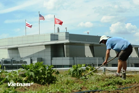 [Photo] Trang trại rau trên cao ốc giữa lòng thủ đô nước Mỹ