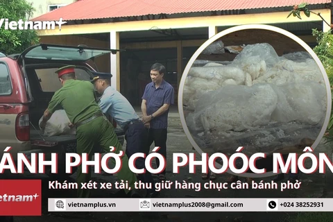 Tiêu hủy hàng chục cân bánh phở có chất độc hại Hải Dương