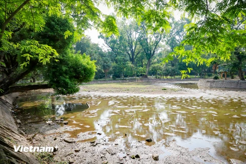 Hà Nội: Cần sớm có biện pháp khôi phục hồ nước ở công viên Bách Thảo