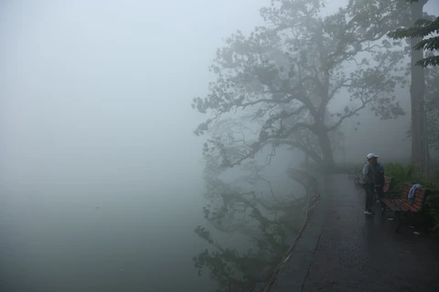[Photo] Sương mù dày đặc, nhiều người dân ngỡ Hà Nội như Sa Pa
