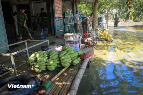 Lực lượng công an, quân đội hỗ trợ người dân vùng Nam Phương Tiến (Chương Mỹ, Hà Nội) khắc phục hậu quả sau lũ. (Ảnh: Hoài Nam/Vietnam+)