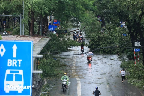 Nhiều tuyến phố ở Hà Nội 'xơ xác' sau khi siêu bão Yagi đổ bộ