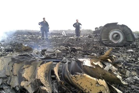 Tìm thấy máy bay Malaysia bốc cháy tại miền Đông Ukraine 