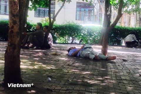 Tại điểm thi thuộc Đại học Sư phạm, một phụ huynh nằm thẳng đượt trong vườn hoa dưới cái nóng như thiêu đốt ở thủ đô Hà Nội. (Ảnh Sơn Bách/Vietnam+)