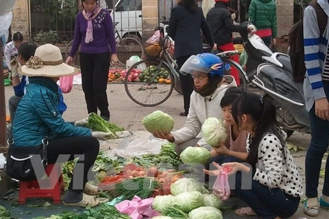 Thực phẩm được bầy bán ở các chợ tuồn vào trường học, đội lốt thực phẩm sạch, rõ nguồn gốc. (Ảnh minh họa: Thanh Tâm/Vietnam+)