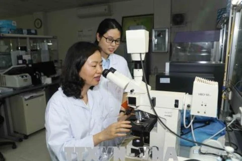 Phó giáo sư Trần Vân Khánh (ngồi bên phải) nghiên cứu trong phòng thí nghiệm cùng đồng nghiệp. (Ảnh: Phương Hoa/TTXVN)