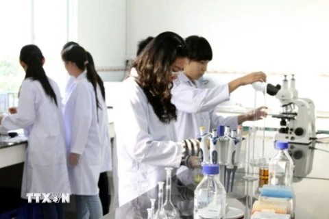 Việt Nam sẽ có đại học đi đầu khu vực về nghiên cứu và đổi mới sáng tạo? (Ảnh minh họa: TTXVN)
