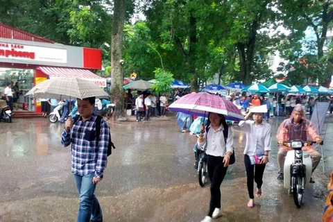 Hà Nội dự kiến sẽ có mưa rào trong những ngày thi vào lớp 10 sắp tới. (Ảnh minh họa: Doãn Đức/ Vietnam+)