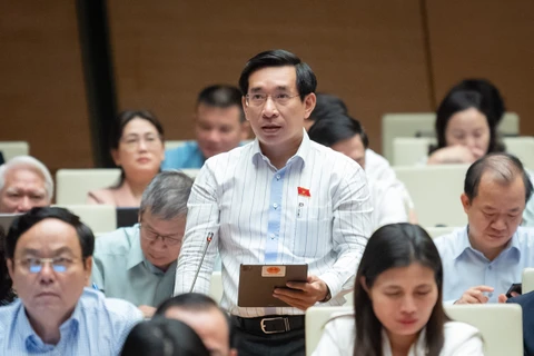 Đại biểu Nguyễn Văn Cảnh đề nghị cần phân nhóm thuê bao trong đấu giá. (Ảnh: PV/Vietnam+)
