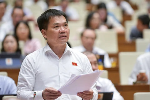 Đại biểu Dương Khắc Mai phản ánh việc tài liệu dự thảo Luật Đất đai sửa đổi được gửi đến các đại biểu quá muộn. (Ảnh: PV/Vietnam+)