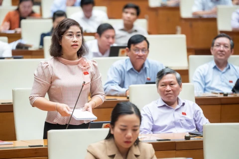 Đại biểu Quốc hội chất vấn ngày 7/11. (Ảnh: CTV/Vietnam+)