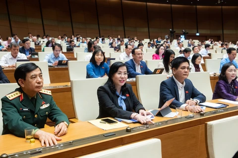Các đại biểu Quốc hội biểu quyết chiều nay, 28/11. (Ảnh: CTV/Vietnam+)