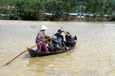 Siêu bão Haiyan ảnh hưởng trực tiếp tới các tỉnh miền Trung từ Huế đến Bình Định (Ảnh: Viết Ý-TTXVN)