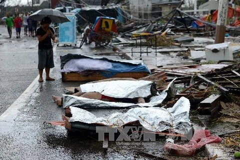 Hình ảnh không thể cầm lòng về bão Haiyan tàn phá Philippines