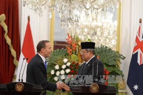 Thủ tướng Tony Abbott gặp Tổng thống Indonesia Susilo Bambang Yudhoyono hồi tháng 9/2013 (Nguồn: AFP/TTXVN)