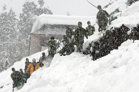 Quân đội Nhật tìm kiếm nạn nhân một vụ lở tuyết (Nguồn: AFP)
