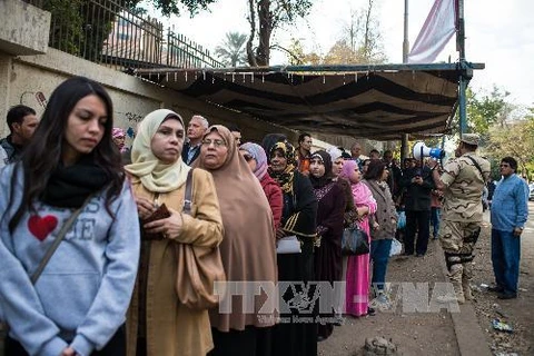 Cử tri Ai Cập bỏ phiếu trưng cầu hiến pháp (Nguồn: AFP/TTXVN)