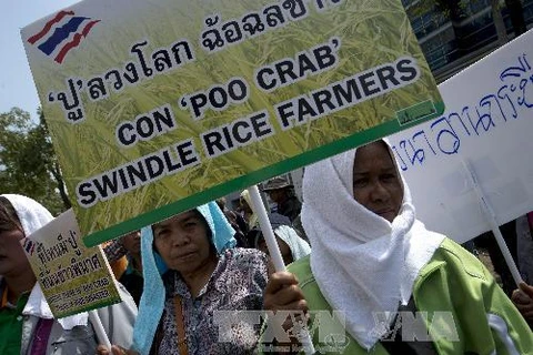 Nông dân Thá́i Lan tuần hành ở ngoại ô thủ đô Bangkok,phản đối việc chính phủ chậm thanh toán tiền mua gạ̣o theo chương trình trợ giá quốc gia (Nguồn: TTXVN)