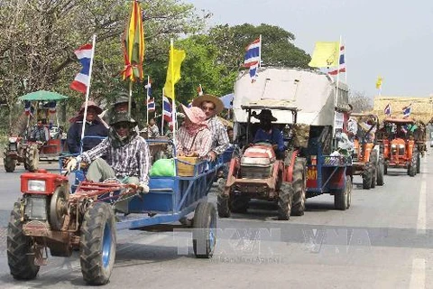 Nông dân Thái Lan lái máy kéo lên Bangkok biểu tình phản đối chính sách thu mua lúa gạo của chính phủ bà Yingluck (Nguồn: AFP/TTXVN)