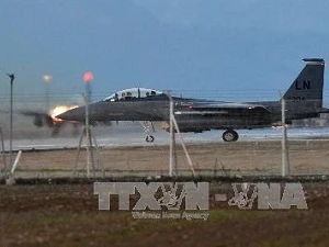Máy bay chiến dấu F-15 (Nguồn: TTXVN)