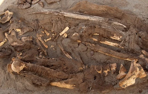 Peru: Tìm thấy 150 xác ướp thuộc nền văn minh lạ ở sa mạc