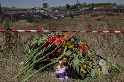 Hà Lan đe dọa biện pháp trả đũa Nga sau vụ rơi máy bay MH17 