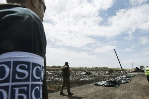 OSCE có kế hoạch sử dụng UAV giám sát biên giới Nga - Ukraine