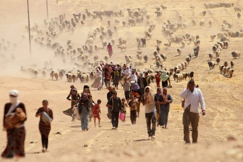 Người tị nạn Yazidi phải cho con bú sữa dê khi chạy trốn ISIS