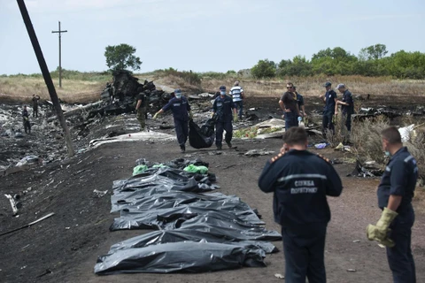 Báo cáo đầu tiên về vụ rơi máy bay MH17 được công bố vào 9/9