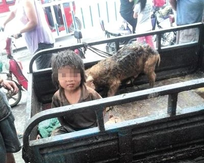 Trung Quốc rúng động vụ với cậu bé sống với lợn, 7 tuổi chưa biết nói
