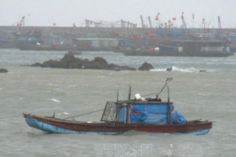 Cảnh báo mưa dông, gió mạnh và sóng lớn trên biển Đông