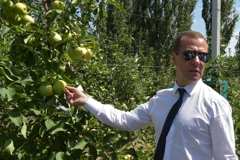 Thủ tướng Nga Medvedev tới đảo Kuril, Nhật Bản phản đối dữ dội