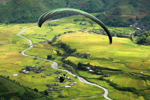 Yên Bái: Kỳ thú với dù lượn "bay trên mùa vàng" tại đèo Khau Phạ 