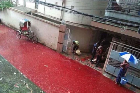 Đường phố nhuộm đỏ máu vì lễ hiến sinh gây cảm giác ghê rợn
