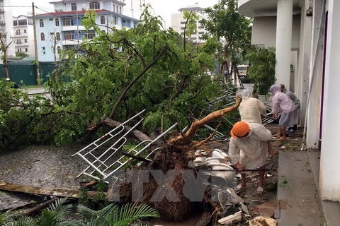 Video mưa lớn gây lũ lụt kinh hoàng tại tỉnh Quảng Bình