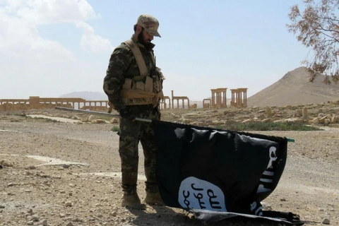 Quân đội Syria tuyên bố giành lại thành phố cổ Palmyra từ tay IS