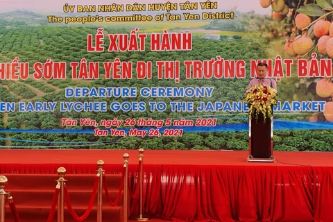 Bắc Giang: Hình ảnh Tân Yên vượt đại dịch "tiễn" vải thiều đi Nhật Bản